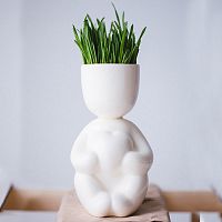 набор для выращивания eco романтик во Владивостоке