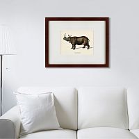 картина: rhinoceros ancienne gravure, 1849 во Владивостоке
