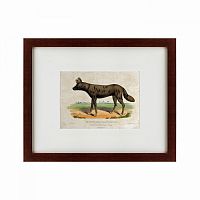 картина: a tortoise-shell hyena, or hye, 1830 во Владивостоке