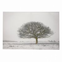 принт wood на подрамнике во Владивостоке