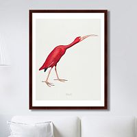 картина: scarlet ibis, 1827г. во Владивостоке