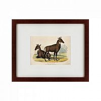 картина: two nilgais, 1830 во Владивостоке