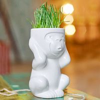 горшок для растений eco игнорик во Владивостоке