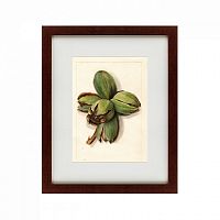 картина: watercolor collection, drawing №1, 1909 во Владивостоке