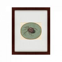 картина: spider, 1690 во Владивостоке