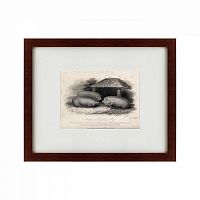 картина: three middlesex pigs, 1848 во Владивостоке