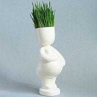 набор для выращивания eco мама во Владивостоке