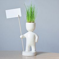набор для выращивания eco знаменосец во Владивостоке