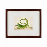 картина: green iguana, 1701 во Владивостоке