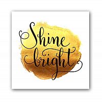 постер shine а3 во Владивостоке