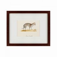 картина: an ocelot, 1801 во Владивостоке