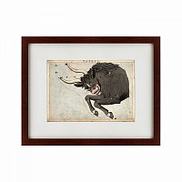 картина: signs of zodiac taurus, 1825 во Владивостоке