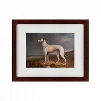картина: portrait of a greyhound, 1744 во Владивостоке