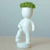 набор для выращивания eco футболист во Владивостоке