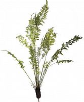 декор fern plant во Владивостоке