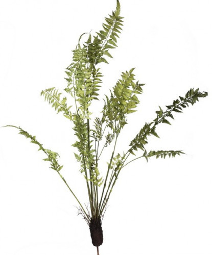 декор fern plant во Владивостоке