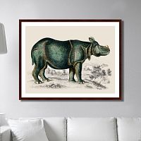 картина: rhinoceros, 1774г. во Владивостоке