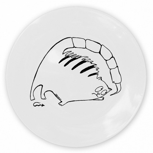 кот-скорпион во Владивостоке