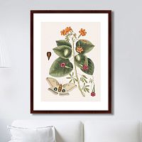 картина: beauty bloom №4, 1732г. во Владивостоке