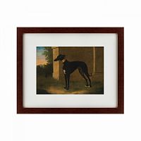 картина: portrait of a greyhound called pompon, 1746 во Владивостоке