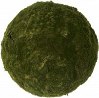 декор moss sun во Владивостоке