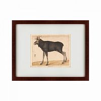 картина: moose, 1560 во Владивостоке