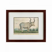 картина: cape ox, 1778 во Владивостоке