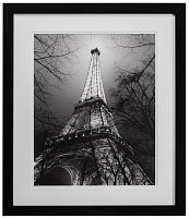 постер с паспарту в раме sa majesté la tour eiffel во Владивостоке