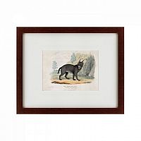 картина: a caracal or lynx, 1830 во Владивостоке