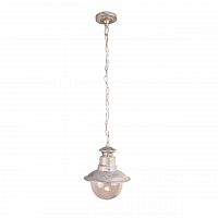 уличный подвесной светильник arte lamp amsterdam a1523so-1wg во Владивостоке