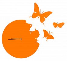 часы настенные оранжевые бабочки butterfly во Владивостоке