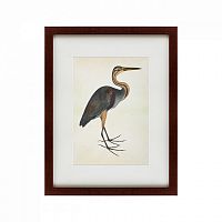 картина: heron (литография), 1822 во Владивостоке